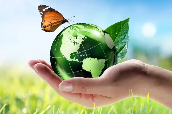 Vidros Sustentáveis: Como Escolher Opções Eficientes e Ecológicas