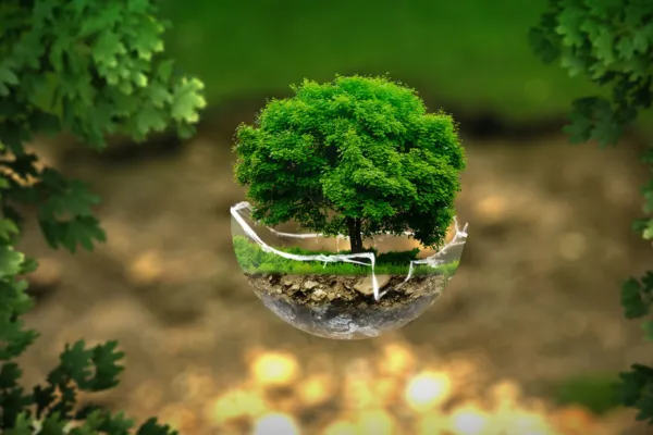 Plástico Reciclado na Construção: Inovação e Sustentabilidade